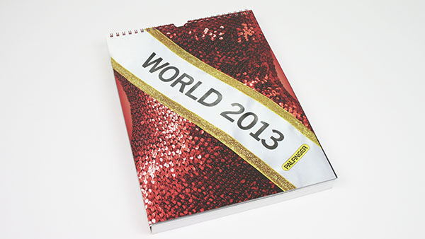 Palfinger - World 2013